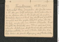 Seite 22, Tagebuch "Inzersdorf" (NHMW-PRAE-BBB-24)